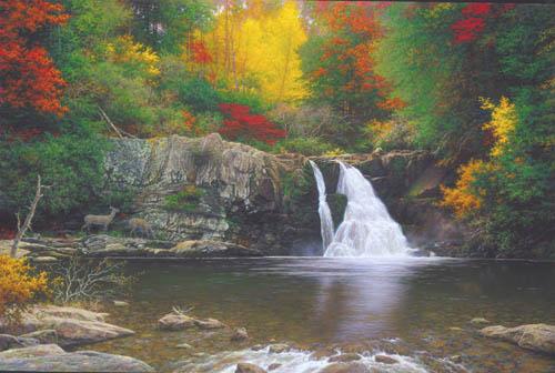 image by Larry Dyke Autumn in the smokies