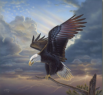 image "the patriot" by Rick Kelley