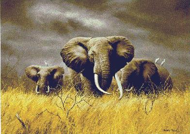 "Power of the Serengeti" by Charles Frace