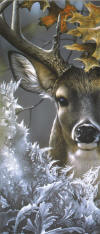 Jerry Gadamus "Stranger in Town" Deer