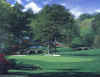 image - 11th at Augusta