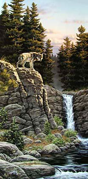 Edge of the Falls ~ wolf by Rick Kelley