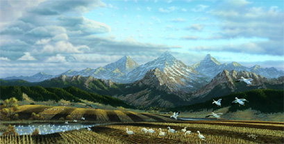 The Freedom Fields by Rick Kelley