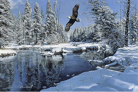 eagle creek by richard plasschaert